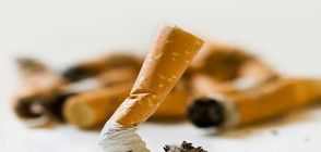 Масови нарушения на забраната за пушене в заведения