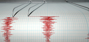 Земетресение от 3,1 в района на Петрич