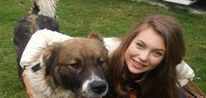 Никол Станкулова подкрепя кауза за спасяване на бездомни кучета