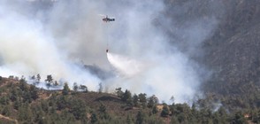 Опасни горски пожари вилнеят в Кипър