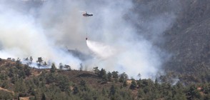 Помагат на Кипър за големите горски пожари