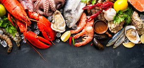 Какво не знаем за морските храни?