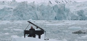 Музикант свири на пиано сред айсберги (ВИДЕО)