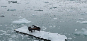 Уникално изпълнение на пиано сред ледовете на Арктика (ВИДЕО)
