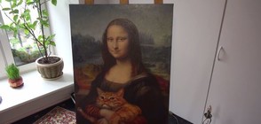 Рижава котка се озова до Мона Лиза (ВИДЕО)