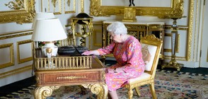 Кралица Елизабет Втора публикува втория си туит