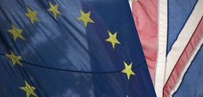 BREXIT - ПЪРВИ ДАННИ: 52% за оставане в ЕС