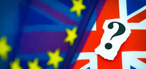 Над 3 милиона британци са се включили в петицията срещу Brexit