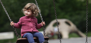 Ремонтират детската площадка "Слончето" в Борисовата градина