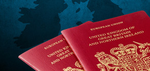Британците в Лондон с въпроси как да се сдобият с ирландски паспорт