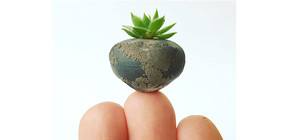 Кой прави най-малките съдове на света? (ВИДЕО)