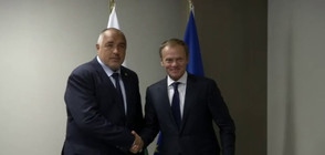 Бойко Борисов: Искам ясна позиция на ЕС за АЕЦ „Белене”