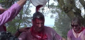 Битка на виното в Испания (ВИДЕО)