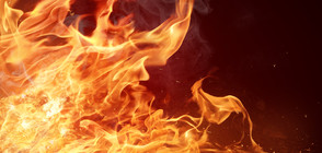 Пожар изпепели два хангара на гребната база в Пловдив