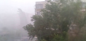 "Моята новина": Пороен дъжд и бурен вятър във Видин