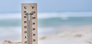 Как да пазим здравето си в летните жеги?
