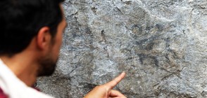 Откриха нови рисунки върху камък в Мачу Пикчу