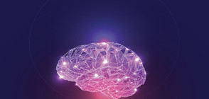 Какво е дежавю?