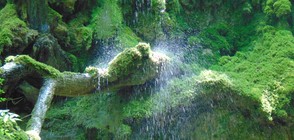Сливовдолският водопад – изкушение и изпитание (СНИМКИ)