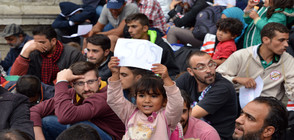 Правозащитници обвиняват Унгария в малтретиране на мигранти