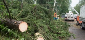 Торнадо разруши къщи в Полша