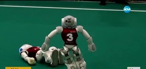 Най-смешните падания и фалове на световно по футбол за роботи (ВИДЕО)