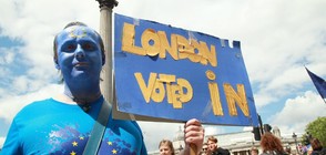 Британците против повторен референдум за Brexit, според проучване
