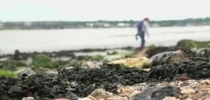 Британка напусна работа, за да се рови в калта на Темза