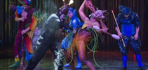 Световното шоу "Цирк дю солей" анулира 40 спектакъла в Турция
