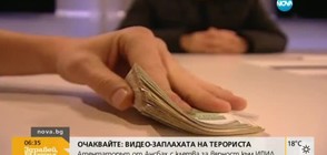 Как се справя властта с корупцията?