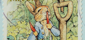 Продават на търг първото издание на британската класика "Зайчето Питър"