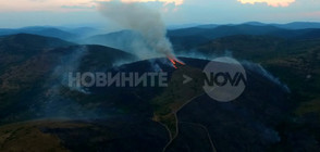КАДРИ ОТ ДРОН: Пожар изпепели стотици декари млада гора
