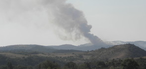 Голям пожар пламна на километри от границата с Турция
