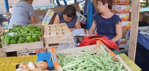 Шест акта за нарушения при проверка на пазар за плодове и зеленчуци в София