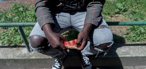 Мигрантите на сръбско-унгарската граница прекратиха гладната си стачка