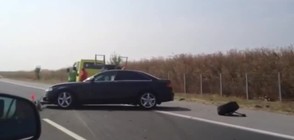 Катастрофа на 4 коли задръсти АМ "Тракия" с километри (ВИДЕО+СНИМКИ)