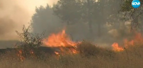 ОГНЕНА СТИХИЯ: Над 9000 дка изгоряха в Южна България (ВИДЕО)