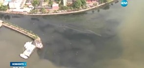 Водите в залива в Рио са опасни за здравето