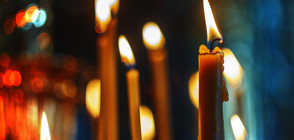 Почина нобеловият лауреат Ахмед Зуил