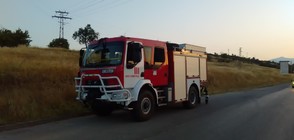 Огромен пожар бушува край Харманли