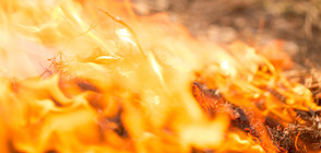 Евакуираха десетки психичноболни заради огромен пожар