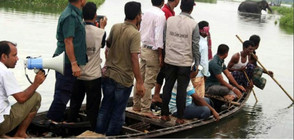 Две държави спасяват отнесена от наводнения слоница