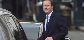 Предлагат на Дейвид Камерън да стане султан с харем в Казахстан