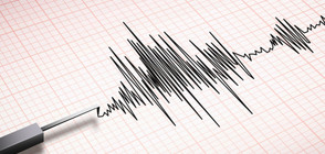 Земетресение от 6,1 по Рихтер разлюля японските острови Волкано
