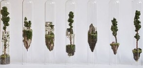 Светове в стъклени епруветки (СНИМКИ)