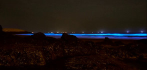 Морето край Китай светна в яркосиньо (ВИДЕО)