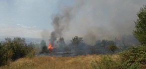 Пламна вилната зона на Казанлък, човек изчезна в огъня (СНИМКИ)