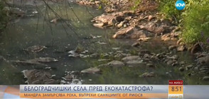 Белоградчишки села пред екокатастрофа: Мандра замърсява река