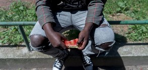 България и Сърбия с общи действия срещу нелегалните мигранти