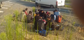 54 мигранти задържани в Перник